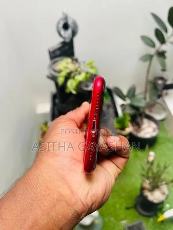 Apple iPhone 11 (Used)