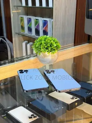 Apple iPhone 13 Pro Max (Used)