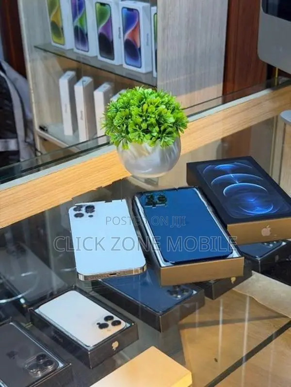 Apple iPhone 12 Pro (Used)