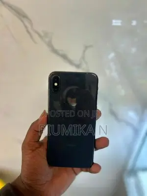 Apple iPhone X 256GB (Used)