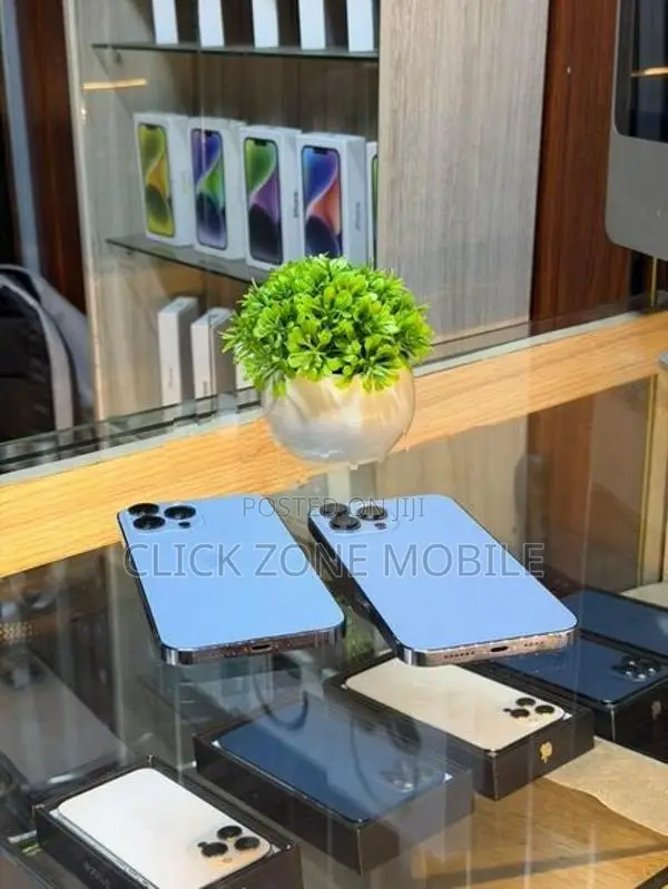 Apple iPhone 13 Pro Max (Used)