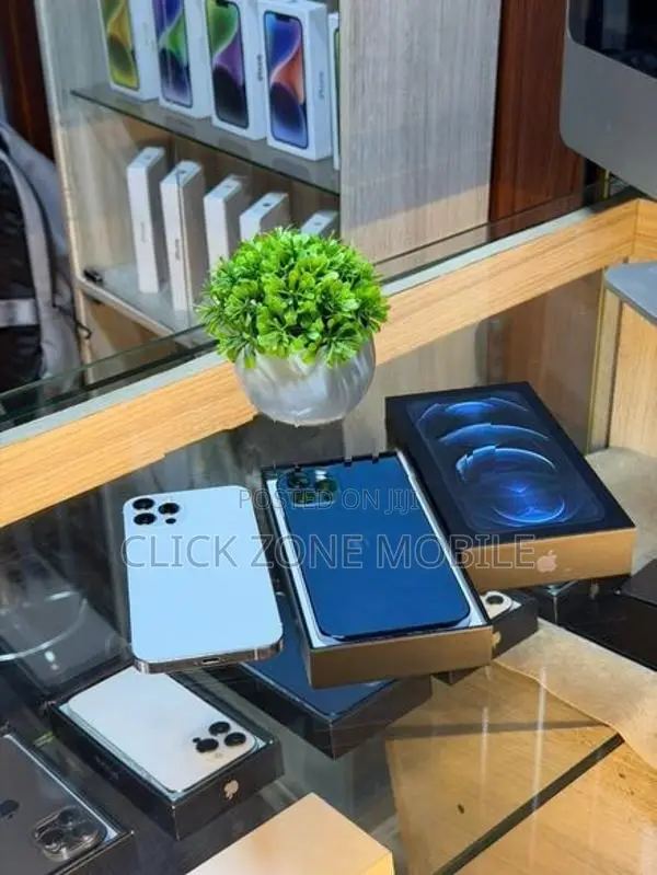 Apple iPhone 12 Pro (Used)