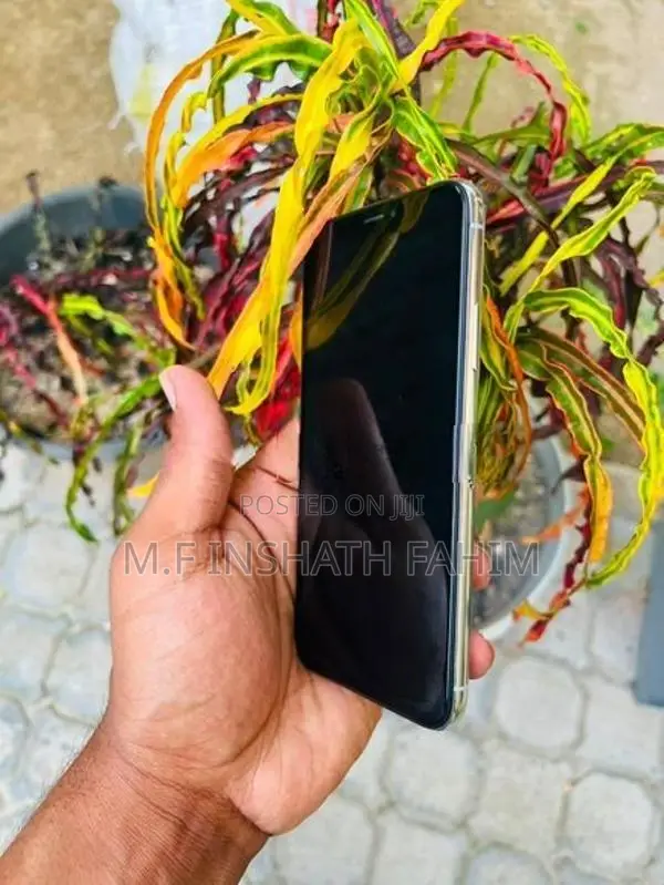 Apple iPhone X (Used)