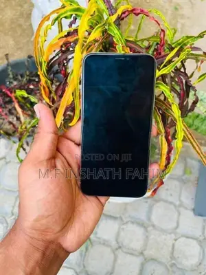 Apple iPhone X (Used)