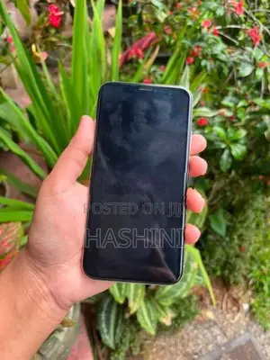 Apple iPhone X (Used)