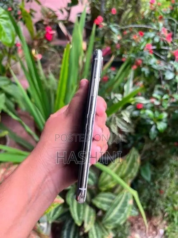 Apple iPhone X (Used)