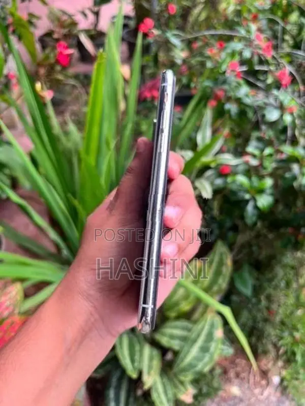 Apple iPhone X (Used)
