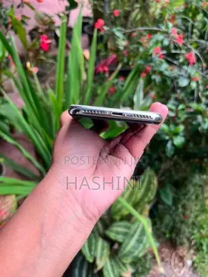 Apple iPhone X (Used)