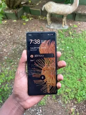 Google Pixel 6 (Used)