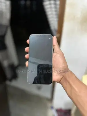 Apple iPhone 11 Pro Max (Used)
