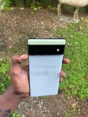 Google Pixel 6 (Used)