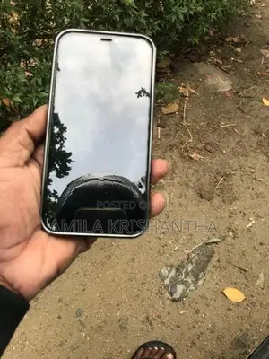 Apple iPhone 12 Pro (Used)