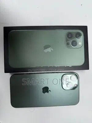 Apple iPhone 13 Pro Max 128GB (Used)