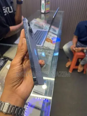 Apple iPhone 13 Pro Max (Used)