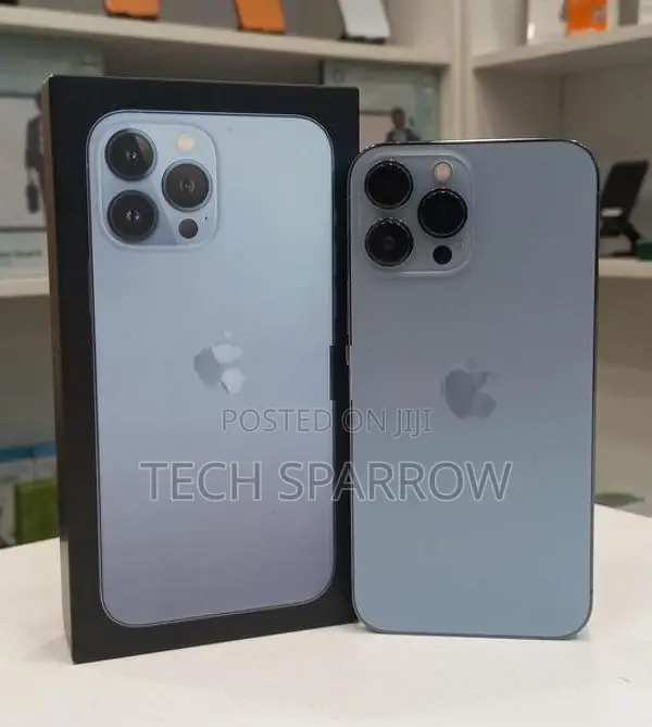 Apple iPhone 13 Pro Max 256GB (Used)