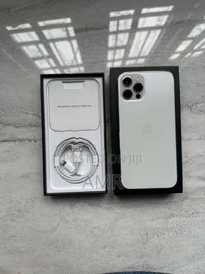 Apple iPhone 12 Pro 256GB (Used)