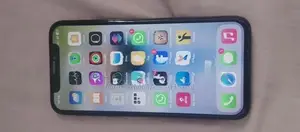 Apple iPhone X (Used)
