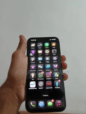 Apple iPhone 13 Pro Max (Used)