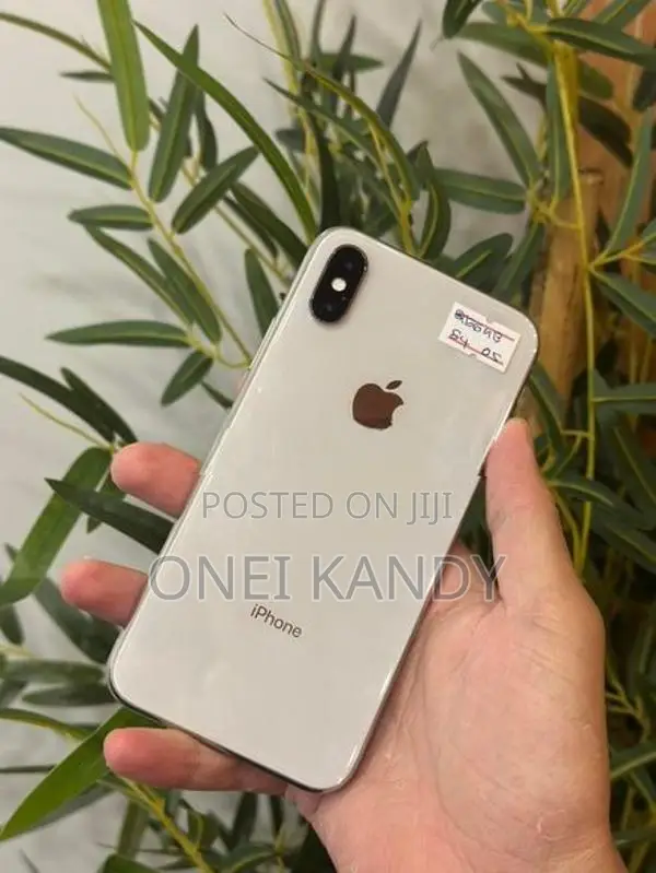 Apple iPhone X 256GB (Used)