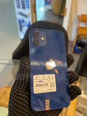 Apple iPhone 12 (Used)
