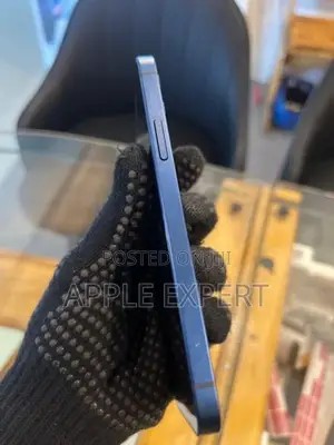 Apple iPhone 12 (Used)