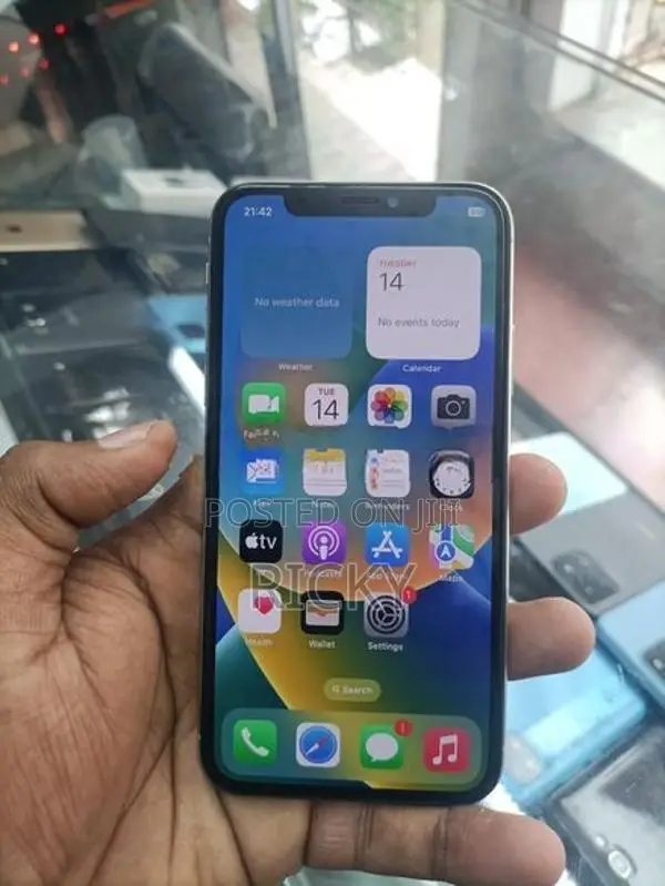 Apple iPhone X 256GB (Used)