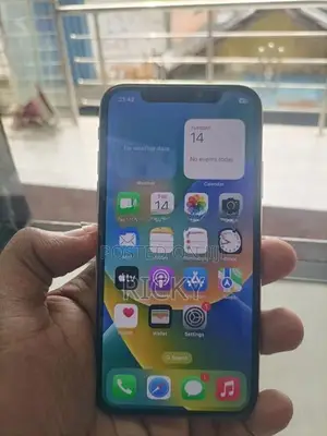 Apple iPhone X 256GB (Used)