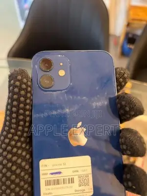 Apple iPhone 12 (Used)