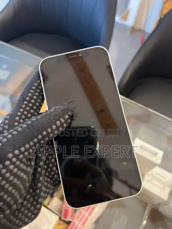 Apple iPhone 12 (Used)