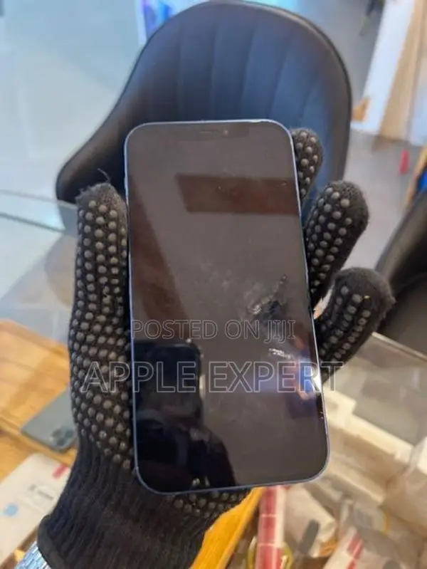 Apple iPhone 12 (Used)