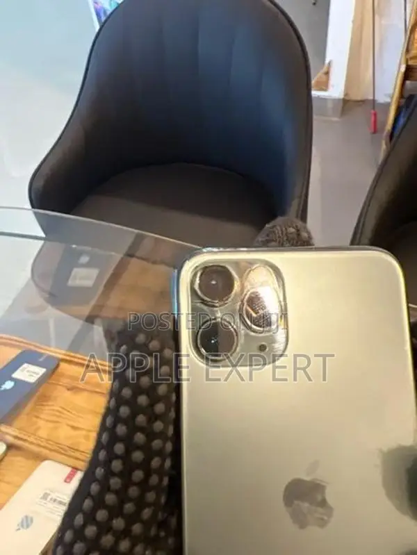 Apple iPhone 11 Pro (Used)