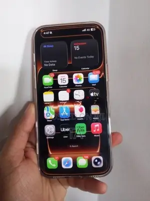 Apple iPhone 17 Pro Max 12/256GB (Used)