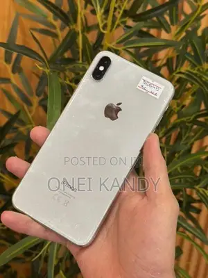 Apple iPhone XS Max 256GB (Used)