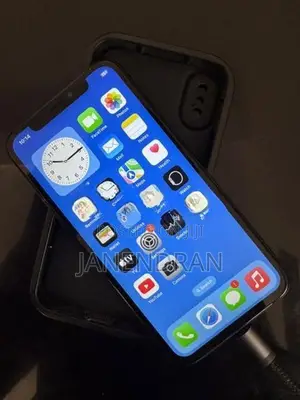Apple iPhone X (Used)