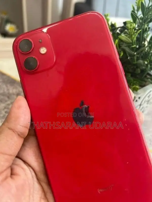 Apple iPhone 11 (Used)
