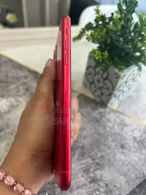 Apple iPhone 11 (Used)
