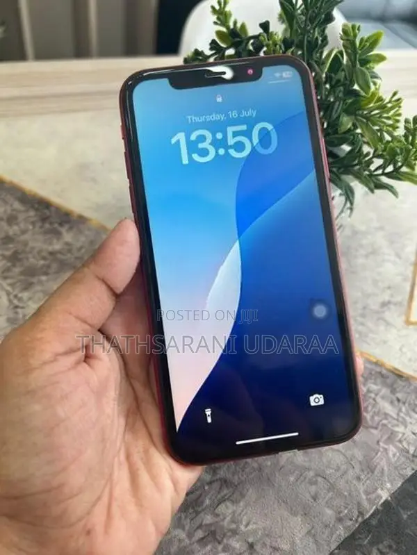 Apple iPhone 11 (Used)