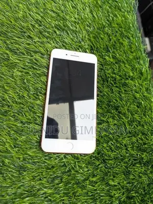 Apple iPhone 7 Plus (Used)