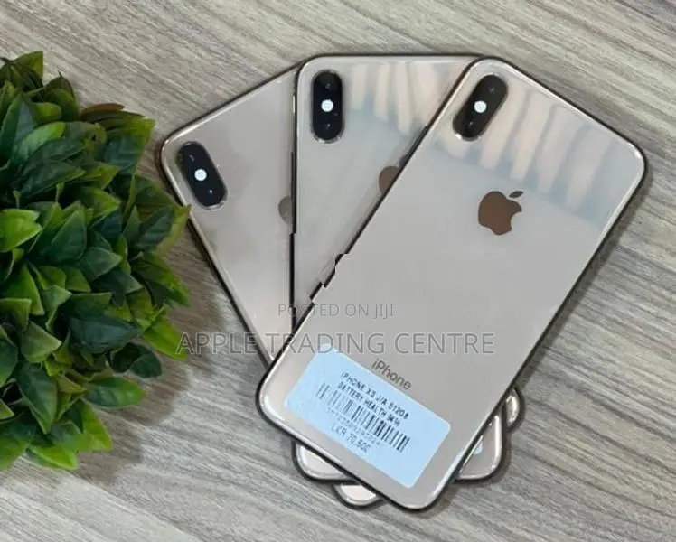 Apple iPhone XS 512GB (Used)