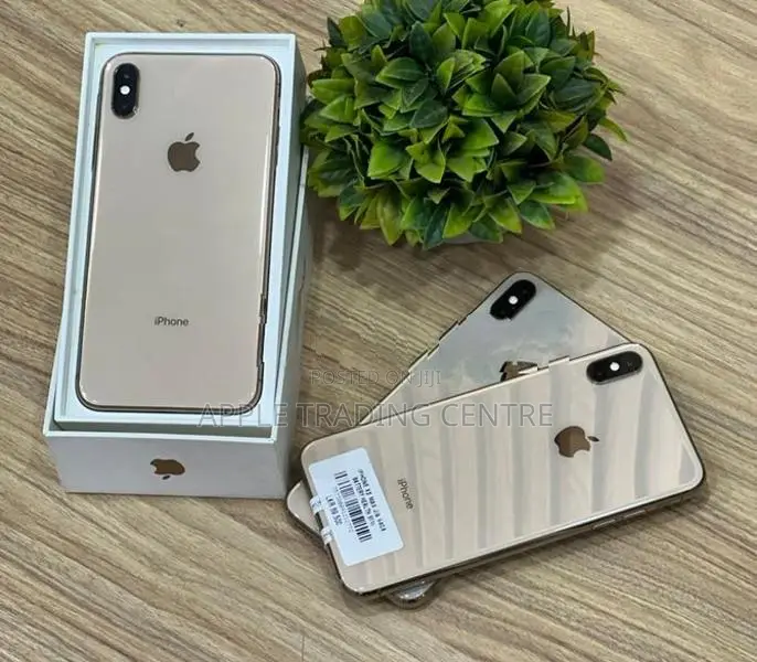 Apple iPhone XS Max 64GB (Used)