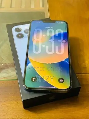 Apple iPhone 13 Pro Max (Used)