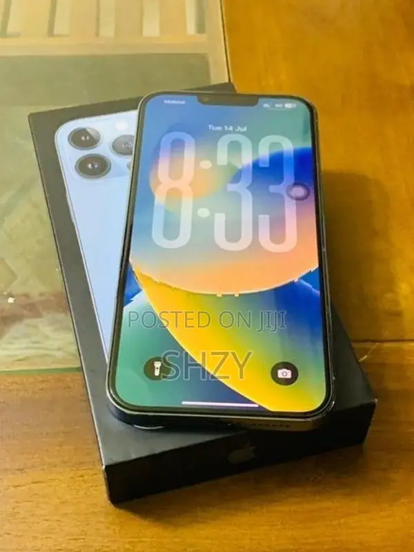Apple iPhone 13 Pro Max (Used)