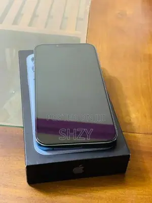 Apple iPhone 13 Pro Max (Used)