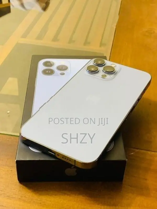 Apple iPhone 13 Pro Max (Used)