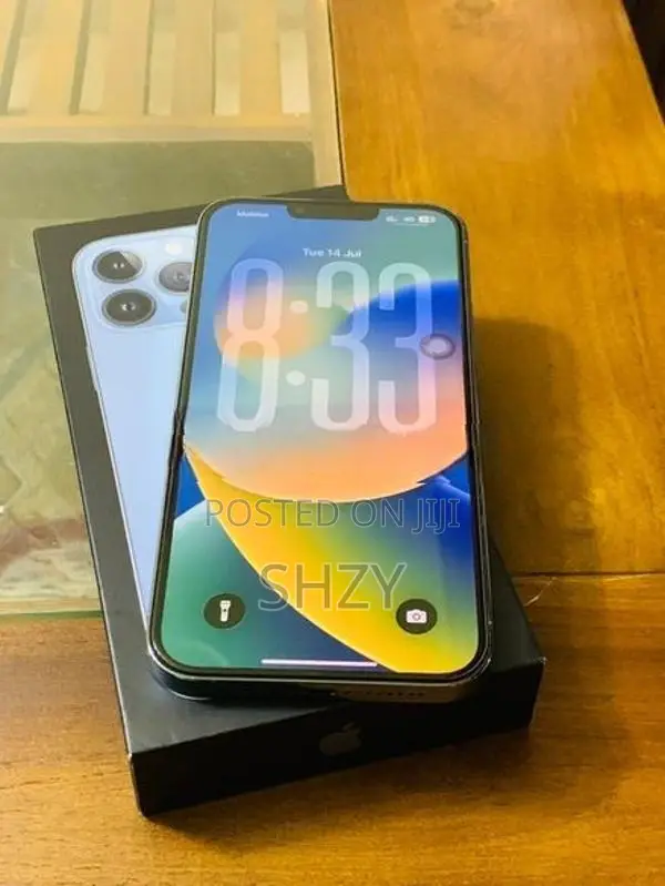 Apple iPhone 13 Pro Max (Used)