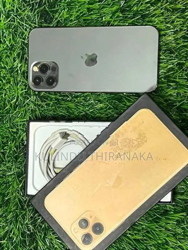 Apple iPhone 12 Pro (Used)