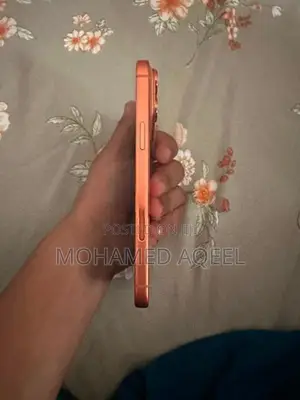 Apple iPhone 17 Pro Max (Used)