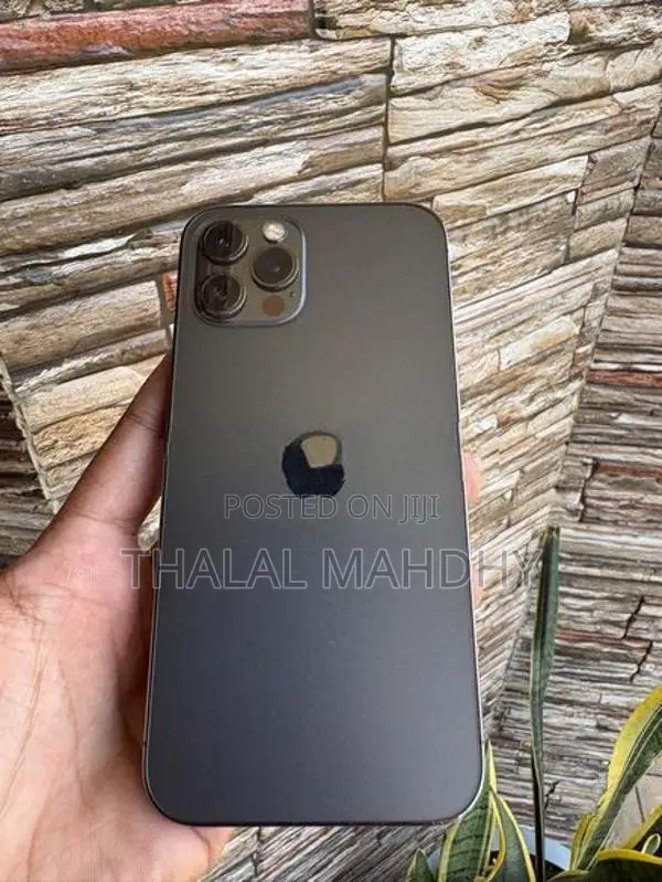 Apple iPhone 12 Pro (Used)