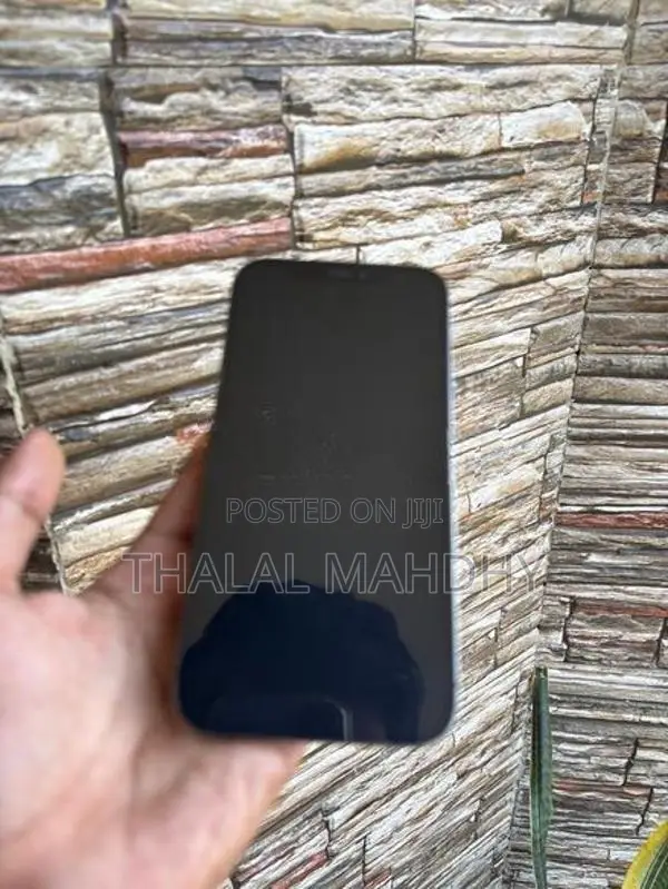 Apple iPhone 12 Pro (Used)