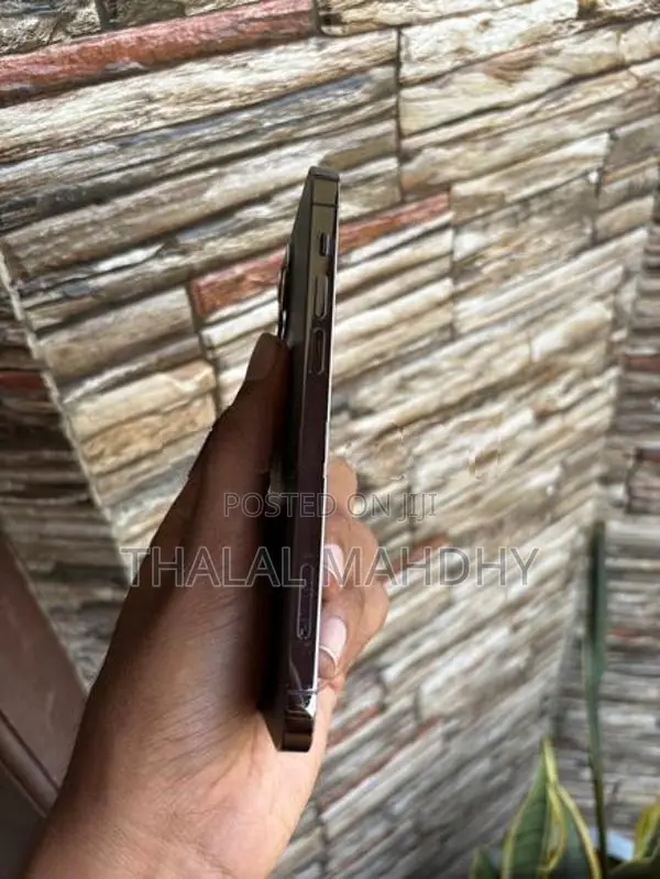 Apple iPhone 12 Pro (Used)